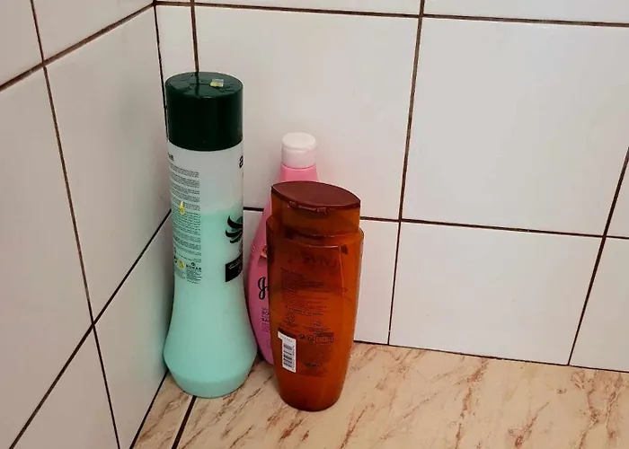 ホームステイ μοναδικό リマソール